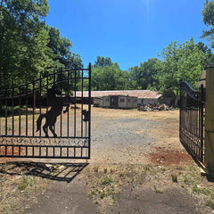 20x8 ft Steel Dual Swing Driveway Gate