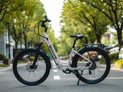 Breeze T Torque Sensor Electric Bike
