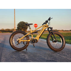Brawny XM MTB Mountain Electric Bike