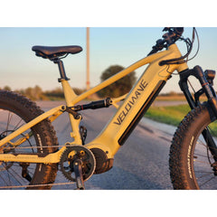 Brawny XM MTB Mountain Electric Bike