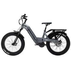 Flatlander SD