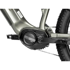 Forest SM MTB