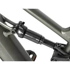 Forest SM MTB