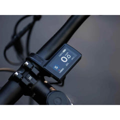 Forest SM MTB