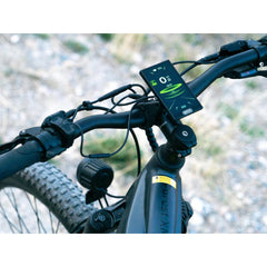 Forest XM MTB