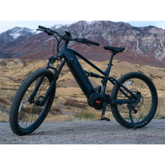 Forest XM MTB