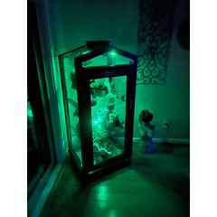 Indoor/Outdoor Garden Cabinet