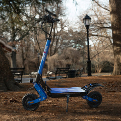 NANROBOT D4+MAX Electric Scooter