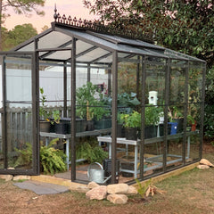 Palmetto Greenhouse 8' x 10'