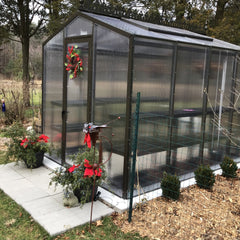 Palmetto Greenhouse 8' x 10'