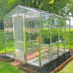Palmetto Greenhouse 8' x 10'