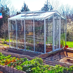Palmetto Greenhouse 8' x 10'