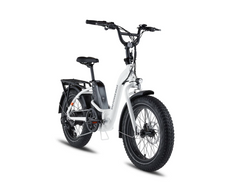 RadExpand™ 5 Electric Folding Bike