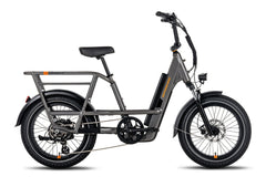 RadRunner™ 3 Plus Electric Utility Bike