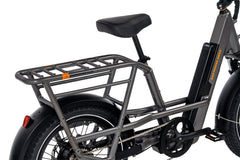 RadRunner™ 3 Plus Electric Utility Bike