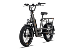 RadRunner™ 3 Plus Electric Utility Bike