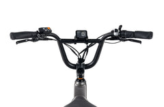 RadRunner™ 3 Plus Electric Utility Bike