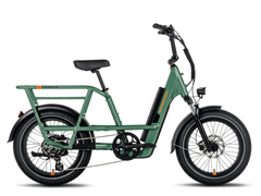 RadRunner™ 3 Plus Electric Utility Bike