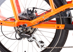 RadWagon™ 4 Electric Cargo Bike