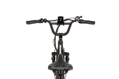 RadWagon™ 5 Electric Cargo Bike