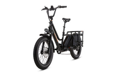 RadWagon™ 5 Electric Cargo Bike
