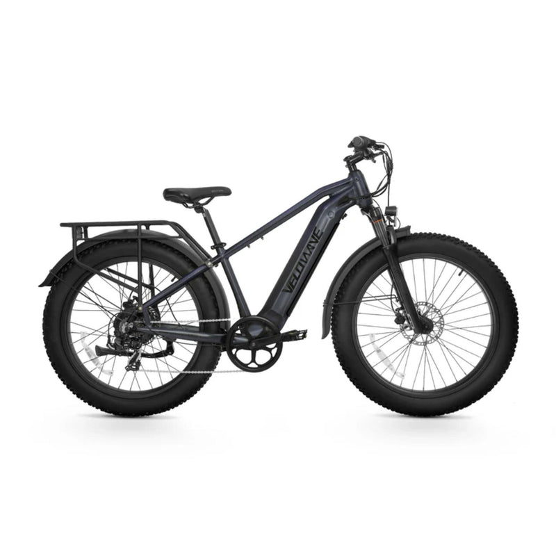 Ranger 2.0 Fat Tire All-Terrain Electric Bike