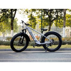 Ranger 2.0 Fat Tire All-Terrain Electric Bike