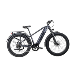 Ranger 3.0 Fat Tire All-Terrain Electric Bike