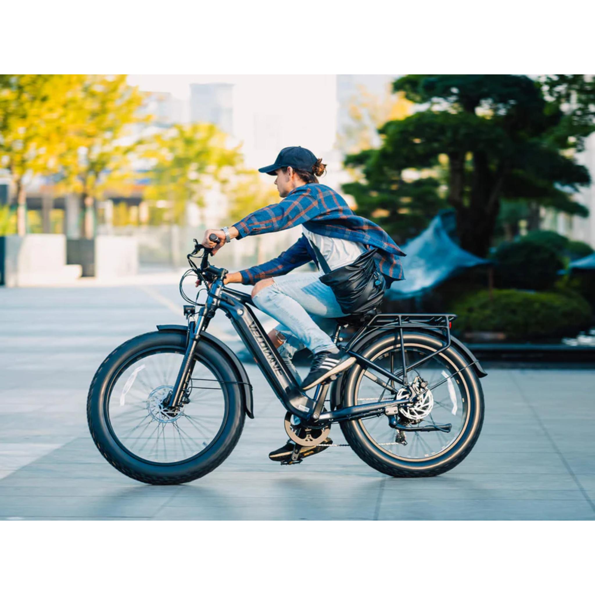 Ranger 3.0 Fat Tire All-Terrain Electric Bike