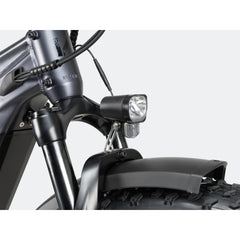 Ranger 3.0 Fat Tire All-Terrain Electric Bike