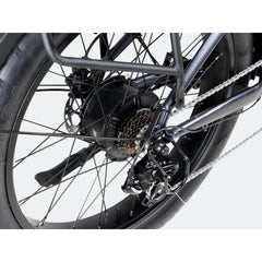 Ranger 3.0 Fat Tire All-Terrain Electric Bike