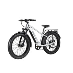 Ranger 3.0 Fat Tire All-Terrain Electric Bike