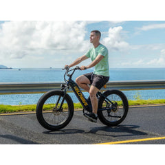 Rover Step-Thru Electric Bike