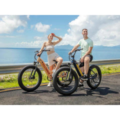 Rover Step-Thru Electric Bike