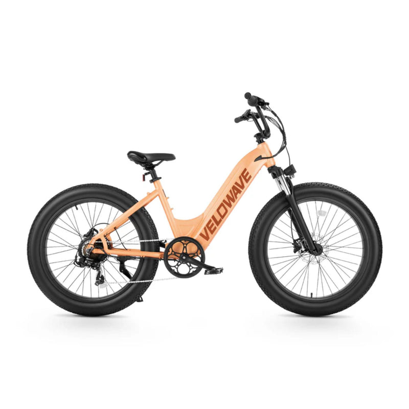 Rover Step-Thru Electric Bike