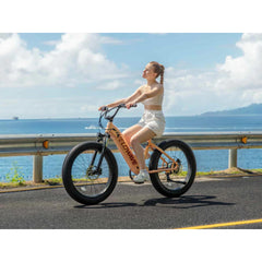 Rover Step-Thru Electric Bike