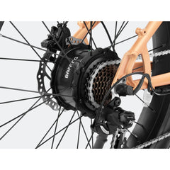 Rover Step-Thru Electric Bike