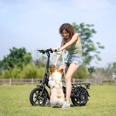 eBike Boys DYU-C3 Folding Electric Bike - Compact Aluminum Design