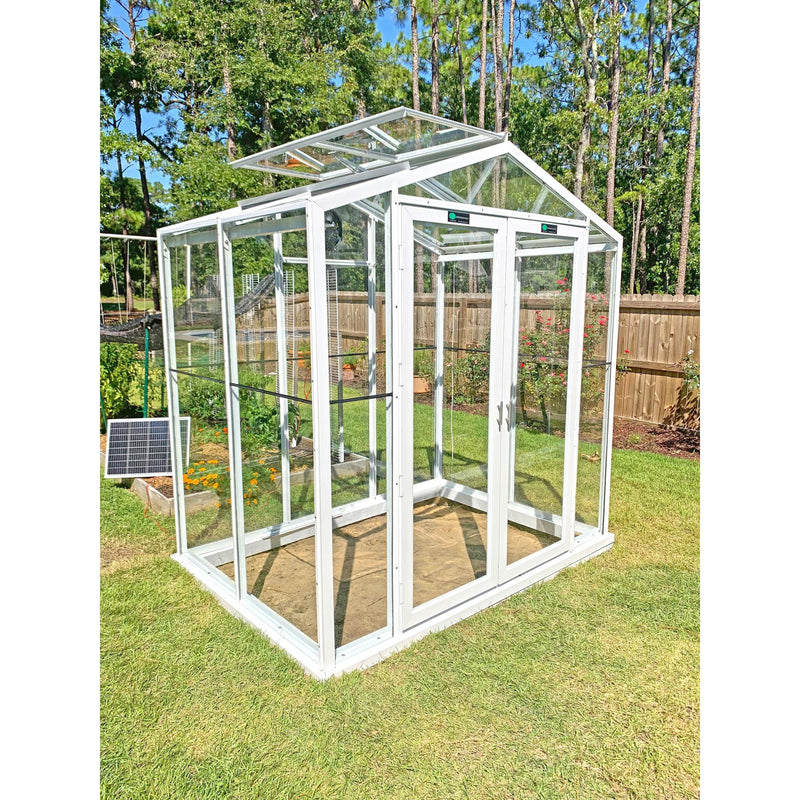 The Sago Greenhouse 5' x 8'